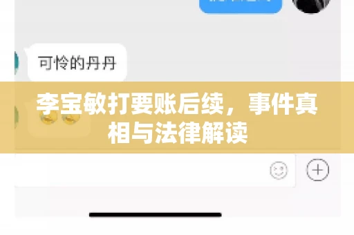 李宝敏打要账后续，事件真相与法律解读