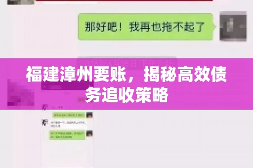 福建漳州要账，揭秘高效债务追收策略
