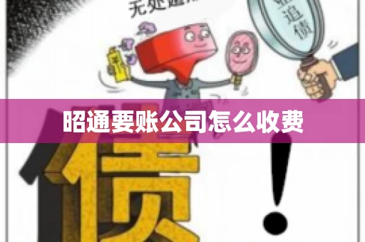 昭通要账公司怎么收费