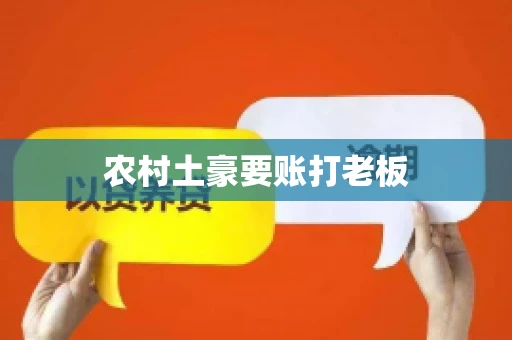 农村土豪要账打老板
