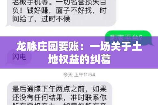 龙脉庄园要账：一场关于土地权益的纠葛