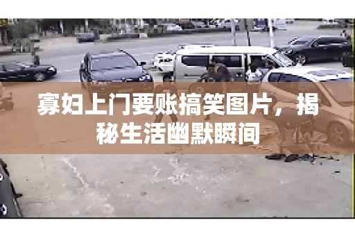 寡妇上门要账搞笑图片，揭秘生活幽默瞬间