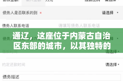 通辽，这座位于内蒙古自治区东部的城市，以其独特的地理位置和丰富的自然资源而闻名。然而，对于许多企业来说，通辽的另一个重要角色可能是其作为要账公司的聚集地。那么，通辽究竟有几家要账公司呢？今天，我们就来聊聊这个话题。