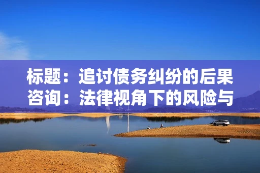 标题：追讨债务纠纷的后果咨询：法律视角下的风险与应对