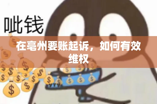 在亳州要账起诉，如何有效维权