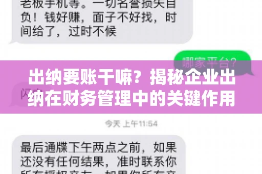 出纳要账干嘛？揭秘企业出纳在财务管理中的关键作用