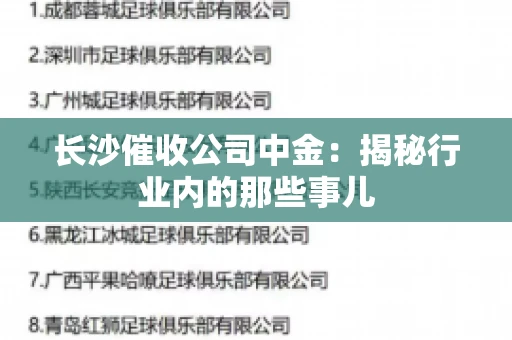 长沙催收公司中金：揭秘行业内的那些事儿