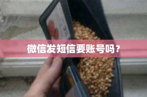微信发短信要账号吗？